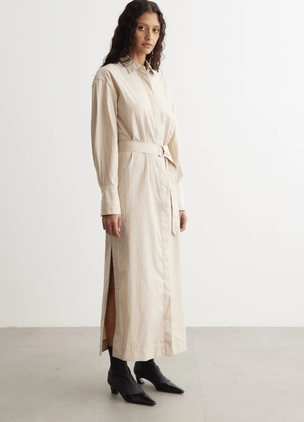 Briar Stripe Poplin Dress