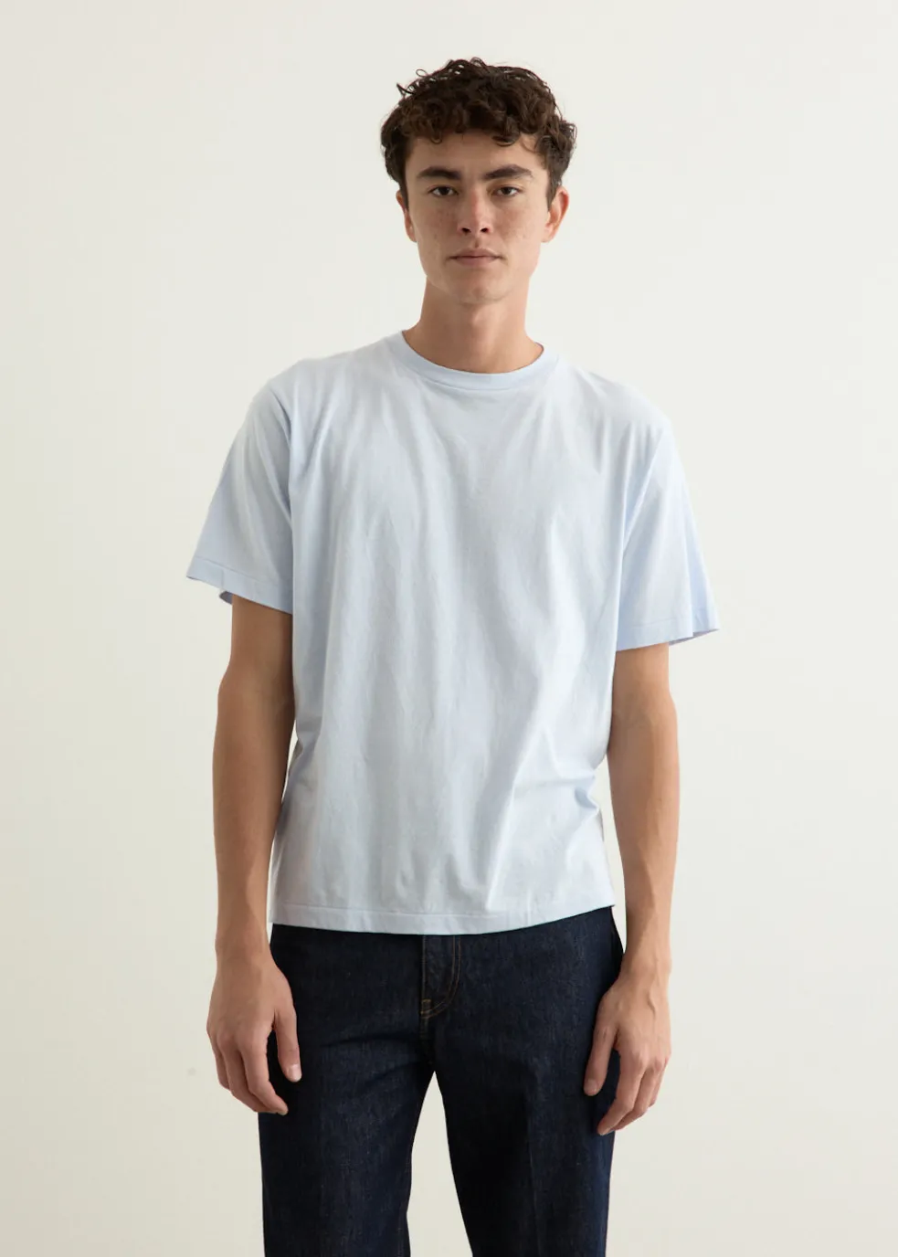 Natural Hydragea Dye T-Shirt