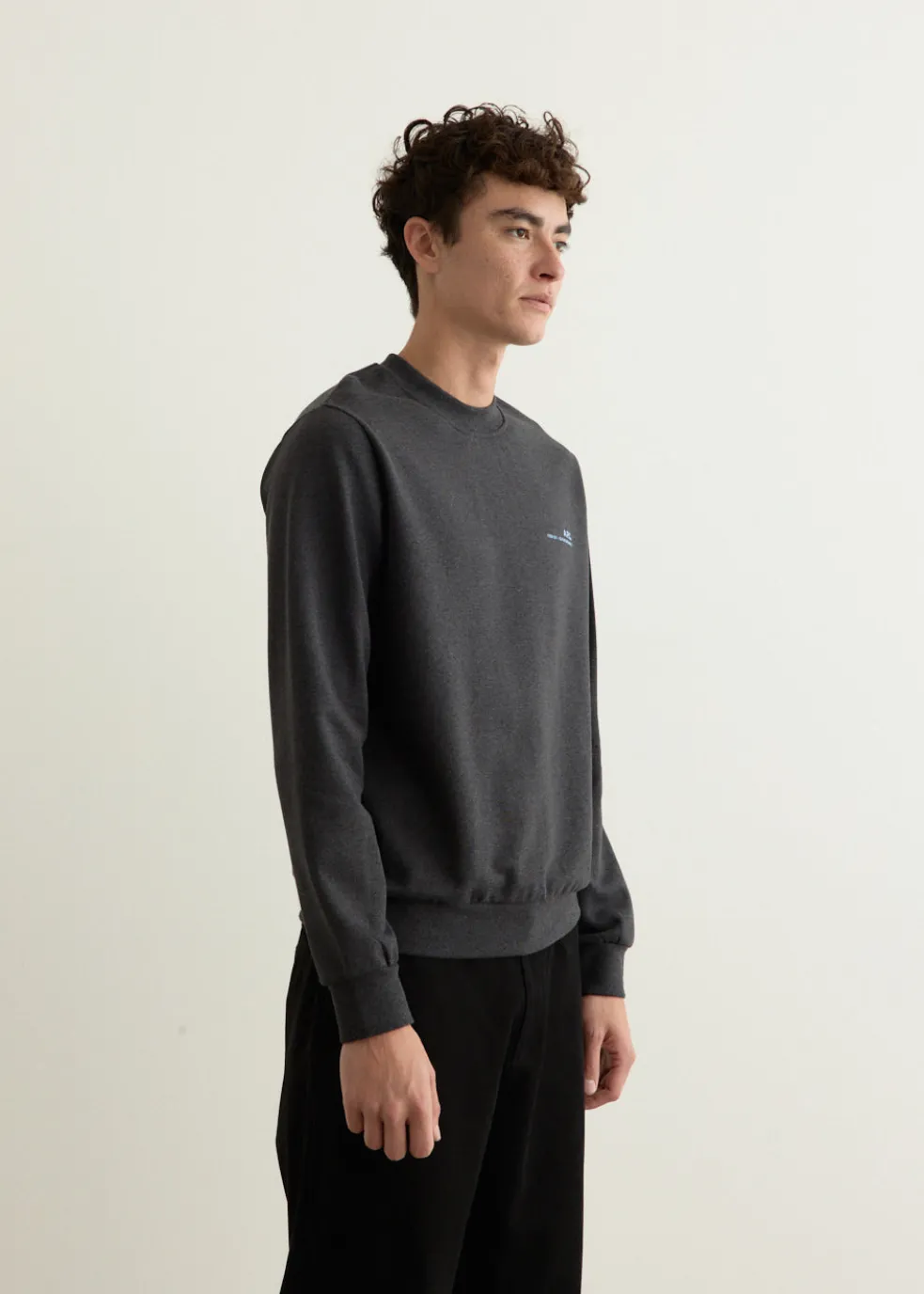 Standard Item Sweatshirt