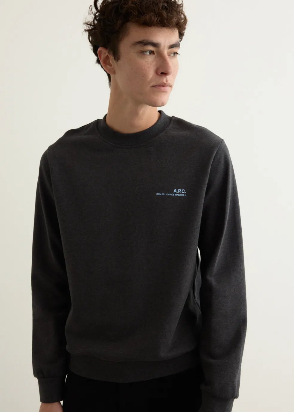 Standard Item Sweatshirt